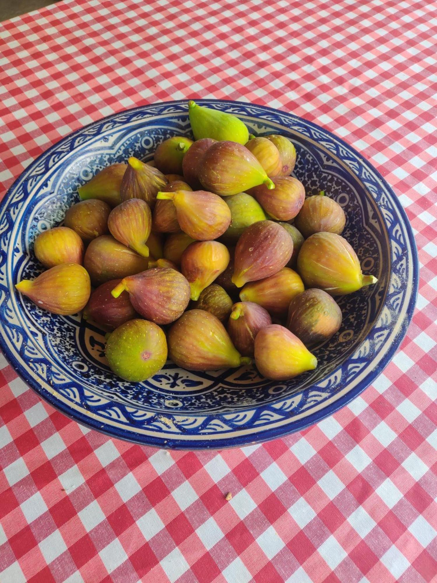 Le Mas Saint Pierre Roquefort Les Pins Ngoại thất bức ảnh